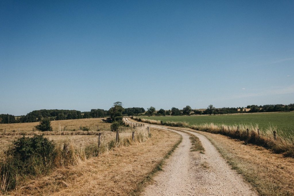 Eine kurvenreiche unbefestigte Straße führt durch eine ländliche Landschaft mit trockenen Grasfeldern unter einem klaren blauen Himmel - eingefangen im natürlichen, authentischen Stil eines Familienfotografen. Entfernte Bäume und Sträucher säumen den Horizont.