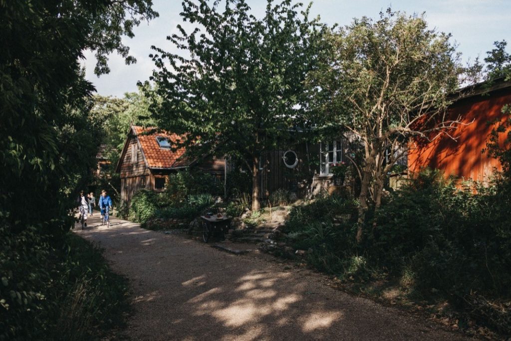 Ein friedlicher Weg führt an rustikalen Holzhäusern vorbei, die von üppigem Grün und Bäumen umgeben sind. Eine Gruppe von Menschen, die von einer talentierten Fotografin festgehalten wurde, geht in der Ferne unter einem teilweise bewölkten Himmel den Weg entlang.