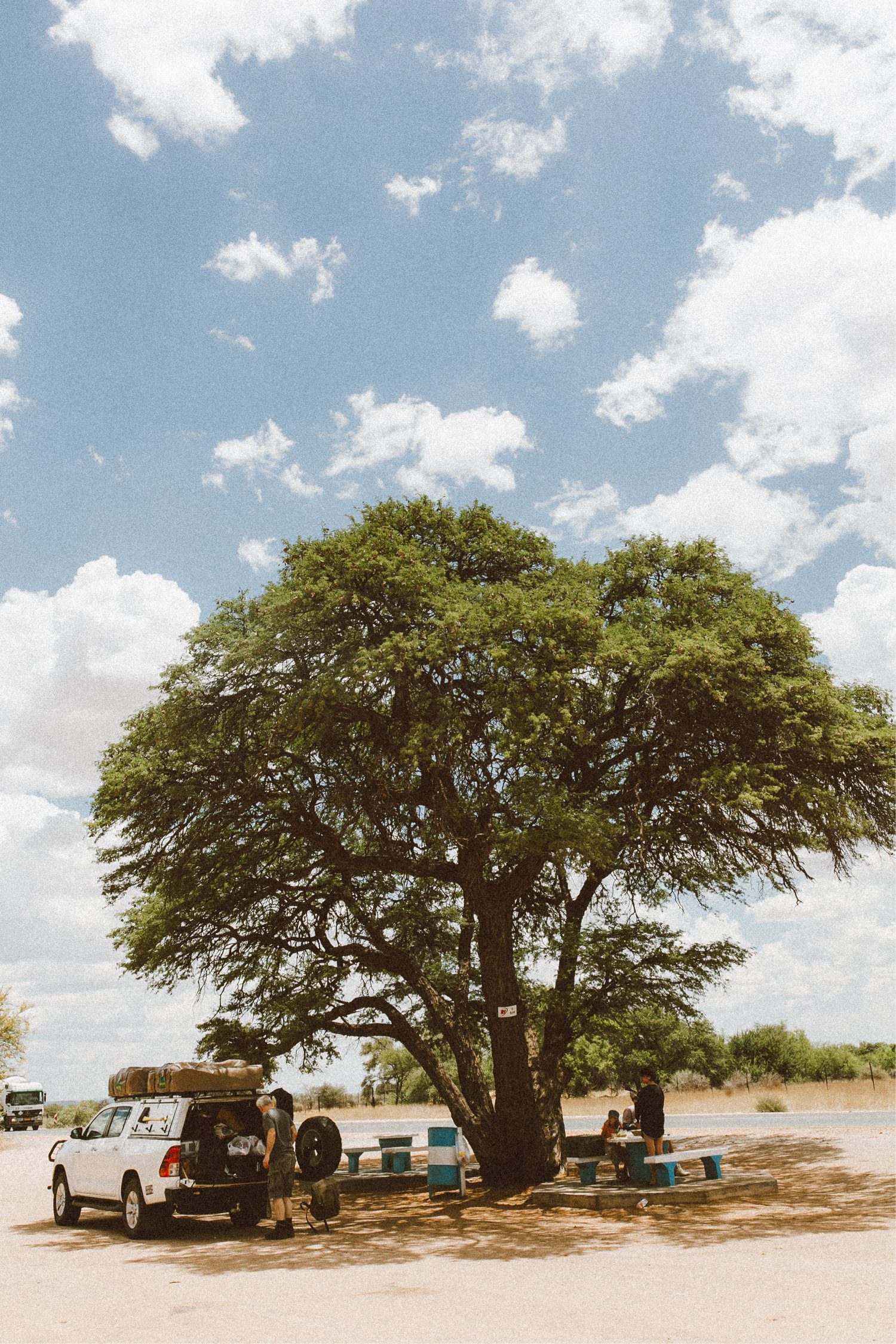Ein großer, belaubter Baum spendet Schatten für ein weißes Fahrzeug und mehrere Personen, die von einem Werbefotografen aufgenommen wurden und an blauen Picknicktischen auf sandigem Boden unter einem teilweise bewölkten Himmel sitzen.