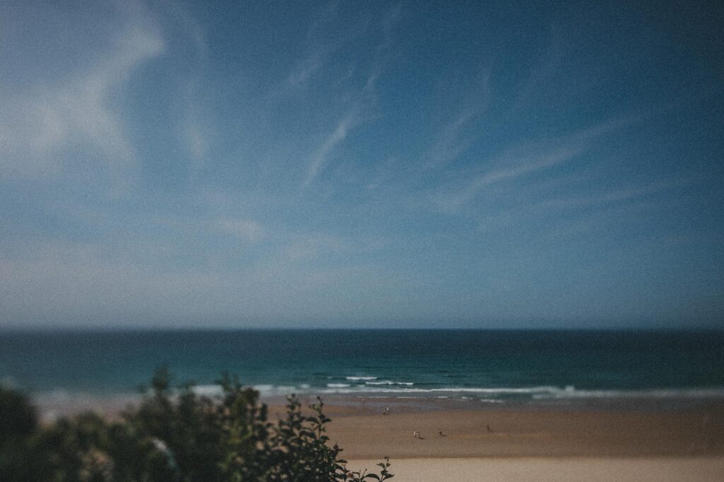 Ein Blick auf einen Sandstrand mit ein paar Menschen in Ufernähe, sanften Wellen und einem blauen Himmel mit Wolkenfetzen. Im Vordergrund ist etwas Grün zu sehen, wunderschön eingefangen von einem talentierten Kinderfotografen.