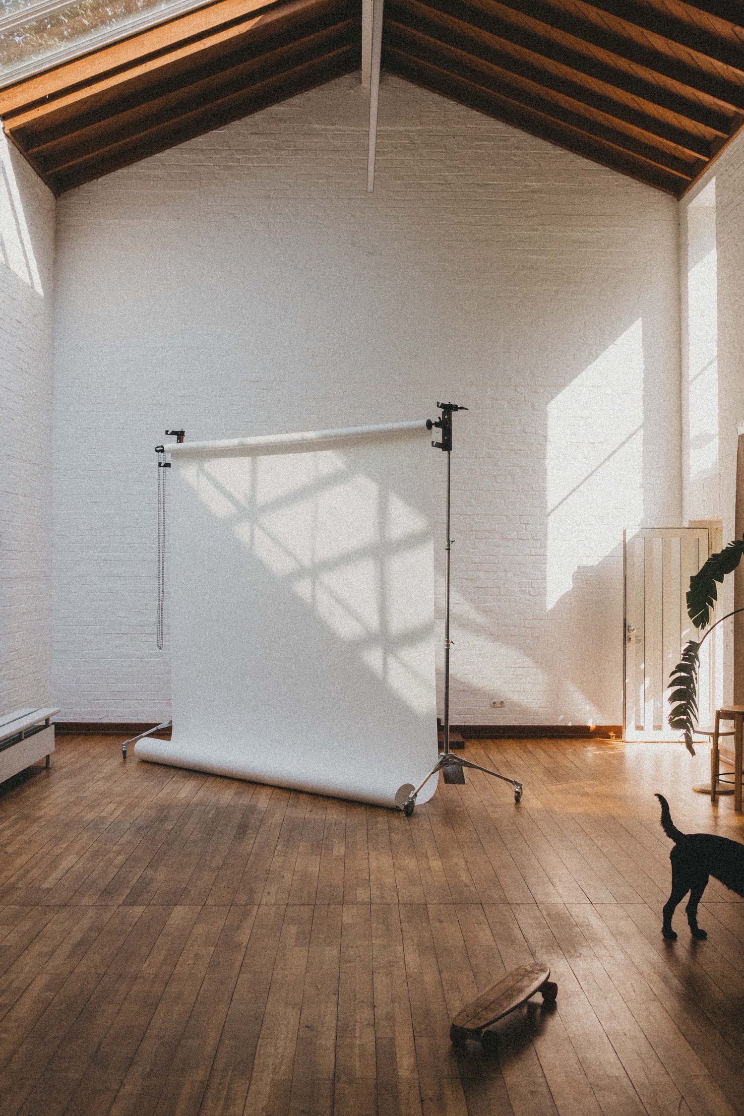 Ein helles Studio mit Holzböden, weißen Backsteinwänden und einer schrägen Decke bietet einen großen weißen Hintergrund, ein Skateboard auf dem Boden und einen Teil eines schwarzen Hundes - perfekt für jeden Werbefotografen oder Familienfotografen, der kreative Inspiration sucht.