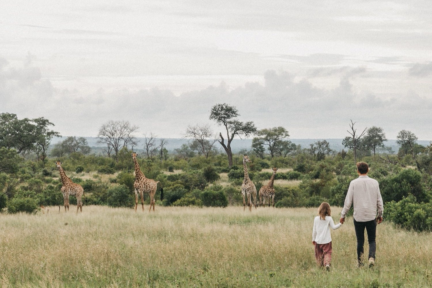 Ein Mann und ein junges Mädchen, aufgenommen von einem Familienfotografen, halten sich an den Händen, während sie durch hohes Gras in einer Savanne spazieren und Giraffen beobachten, die in der Ferne unter einem bewölkten Himmel zwischen Bäumen grasen.