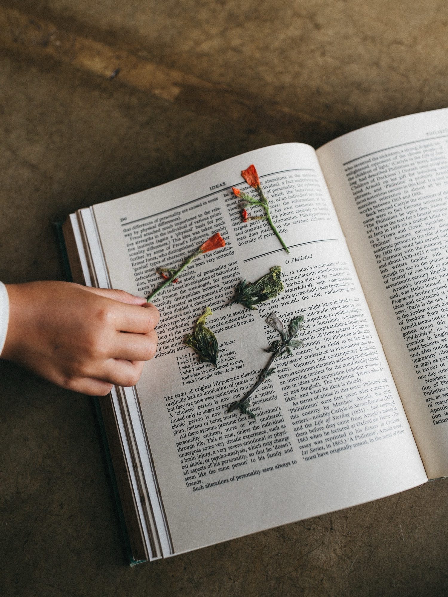 Eine Hand berührt ein aufgeschlagenes Buch, auf dessen Seite gestickte Blumen und Stängel zu sehen sind, die das Buch mit bunten Fäden zu verzieren scheinen - wunderschön eingefangen von einem kreativen Werbefotografen.