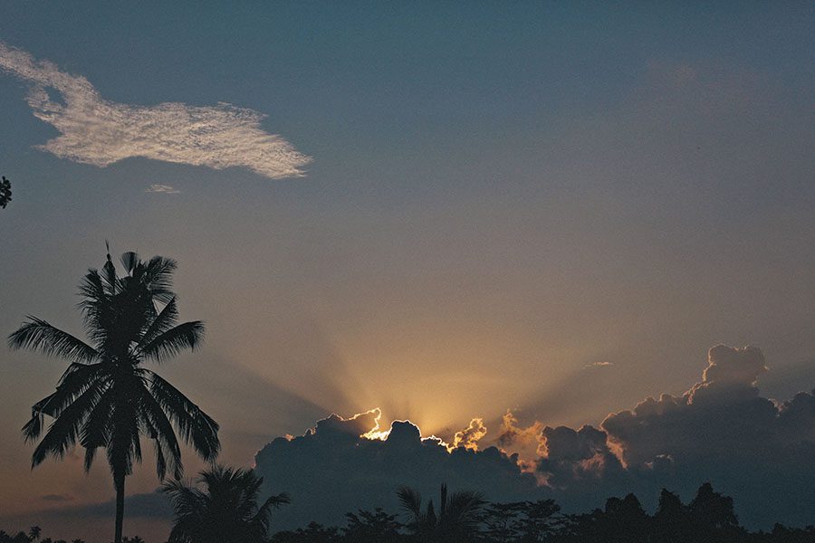 Silhouettierte Palmen und Laub stehen vor einem dramatischen Sonnenuntergangshimmel, der von einem erfahrenen Fotografen Köln eingefangen wurde, wobei die Sonne teilweise hinter Wolken verborgen ist und die Sonnenstrahlen nach außen dringen.