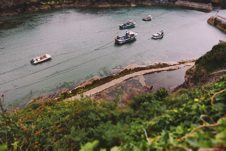 Ein kleiner Hafen von oben gesehen, mit mehreren Booten, die auf dem ruhigen Wasser neben einem schmalen Steinsteg treiben, umgeben von grünem Laub und felsigen Rändern - die perfekte Inspiration für jeden Werbefotografen oder Fotostudio Köln, der eine ruhige Szene sucht.