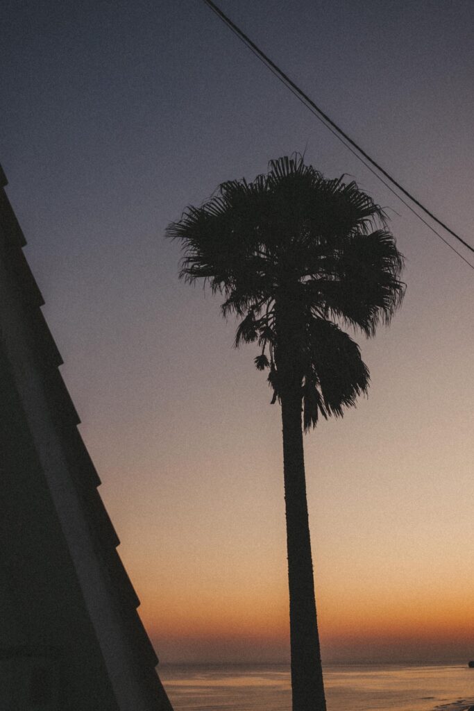 Eine hohe Palme zeichnet sich vor einem orangefarbenen und violetten Sonnenuntergangshimmel am Meer ab, während auf der linken Seite der Rand eines Gebäudes und Oberleitungen zu sehen sind - eine inspirierende Szene für jeden Familienfotografen.