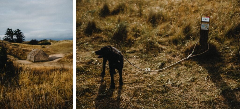 Ein schwarzer Hund ist auf einer Wiese an einem Pfahl angebunden; in der Nähe steht eine kleine Steinhütte im hohen Gras unter einem wolkenverhangenen Himmel - aufgenommen von Werbefotograf im Fotostudio Köln.