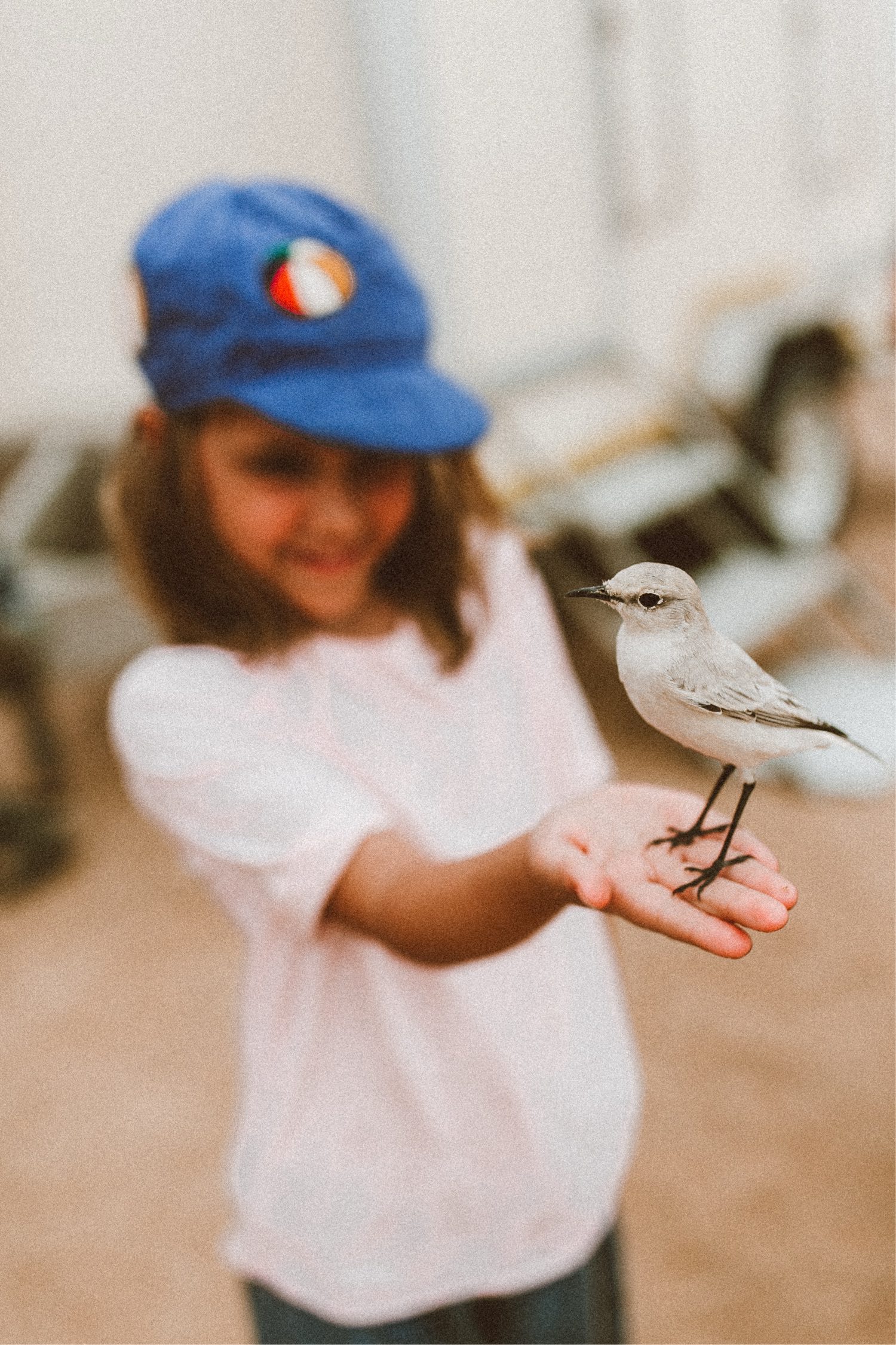 Ein lächelndes Kind mit blauer Mütze streckt seine Hand aus, auf der ein kleiner weißer Vogel anmutig thront - aufgenommen von einem talentierten Familienfotografen. Der unscharfe Hintergrund lenkt den Fokus auf das Kind und die sanfte Verbindung des Vogels.