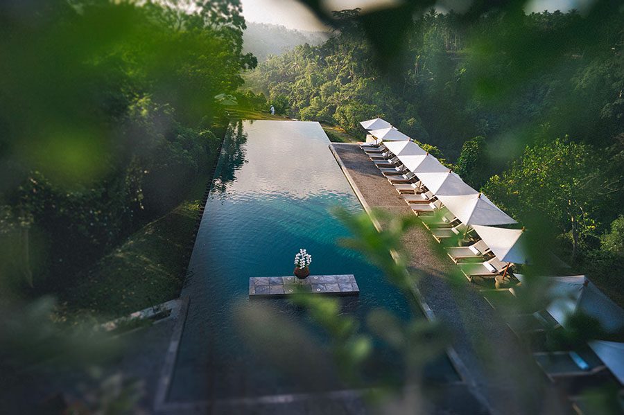 Ein Pool mit Stühlen und Bäumen, festgehalten von einem talentierten Werbefotografen, bietet den perfekten Rahmen für Entspannung und lebendige Sommererinnerungen.